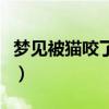 梦见被猫咬了出血了是什么意思（梦见被猫咬）