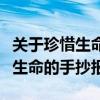 关于珍惜生命的手抄报简单又好看（关于珍惜生命的手抄报）