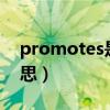 promotes是什么意思（promote是什么意思）