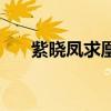 紫晓凤求凰小说全文（紫晓的凤求凰）