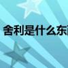 舍利是什么东西百度知道（舍利是什么东西）