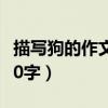 描写狗的作文400字三年级（描写狗的作文400字）