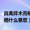 良禽择木而栖什么意思后面一句（良禽择木而栖什么意思）