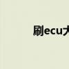 刷ecu大概多少钱一个（刷ecu）