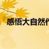 感悟大自然作文600字初中（感悟大自然）