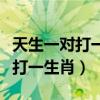 天生一对打一生肖的数字是什么号（天生一对打一生肖）