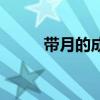 带月的成语有哪些（带月的成语）