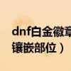 dnf白金徽章镶嵌buff装哪里（dnf白金徽章镶嵌部位）