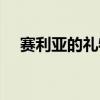 赛利亚的礼物在哪里买（赛利亚的礼物）