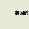 英国鹞式战斗机（鹞式战斗机）