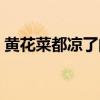 黄花菜都凉了的典故和意思（黄花菜都凉了）
