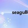 seagull什么意思（sea什么意思）