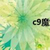 c9魔剑士时装（c9魔剑士）