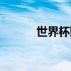 世界杯赔付率（世界杯赔率表）