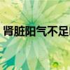 肾脏阳气不足吃什么药（阳气不足吃什么药）