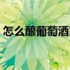 怎么酿葡萄酒家庭做法窍门（怎么酿葡萄酒）