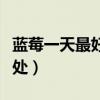 蓝莓一天最好吃多少颗（女人吃蓝莓有什么好处）
