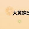 大黄蜂改装车壁纸（大黄蜂改装）