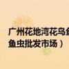 广州花地湾花鸟鱼虫批发市场搬迁到哪里（广州花地湾花鸟鱼虫批发市场）