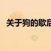 关于狗的歇后语三年级（关于狗的歇后语）