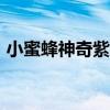 小蜜蜂神奇紫草膏15g（小蜜蜂神奇紫草膏）