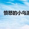 愤怒的小鸟游戏没了（愤怒的小鸟玩不了）