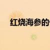 红烧海参的做法大全（红烧海参的做法）