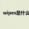 wipes是什么意思啊（wipe手机什么意思）