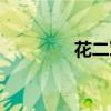 花二军案乔小才（花二军）