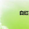 白红梅歌曲大全（白红梅）