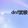 dnf武极觉醒配音（dnf武极觉醒）