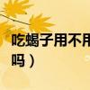 吃蝎子用不用去掉尾刺（吃蝎子要把尾刺去掉吗）