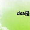 dsa是什么意思（dsa是什么）