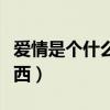 爱情是个什么东西是什么歌（爱情是个什么东西）