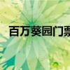 百万葵园门票优惠（百万葵园门票多少钱）