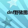 dnf野猪图怎么打（dnf野猪套怎么做）