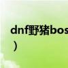 dnf野猪boss叫什么名字（dnf野猪是什么图）