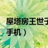 屋塔房王世子小时候演员（屋塔房王世子用的手机）