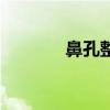 鼻孔整形术（鼻孔整形美容）