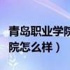 青岛职业学院怎么样好不好就业（青岛职业学院怎么样）