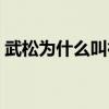 武松为什么叫行者简短（武松为什么叫行者）
