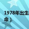 1978年出生是什么命格（1978年出生是什么命）