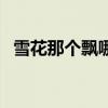 雪花那个飘哪年拍的（雪花那个飘片尾曲）