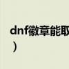 dnf徽章能取下来吗2020（dnf徽章能交易吗）