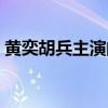黄奕胡兵主演的电视剧（胡兵主演的电视剧）