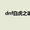 dnf白虎之魂值多少金币（dnf白虎之魂）