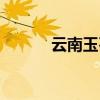 云南玉石叫什么玉（云南玉石）