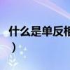 什么是单反相机和数码相机（什么是单反相机）