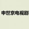 申世京电视剧有哪些（申世京演过的电视剧）