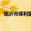 临沂市保利国际影城（临沂保利国际影城）